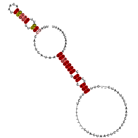 secondary structure