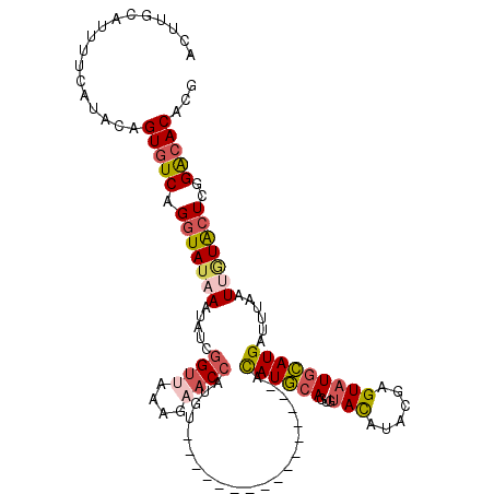 secondary structure
