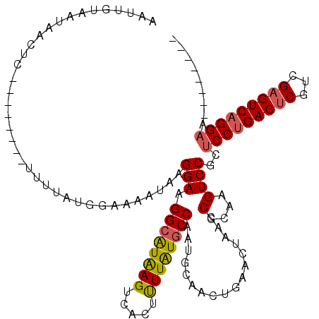 secondary structure