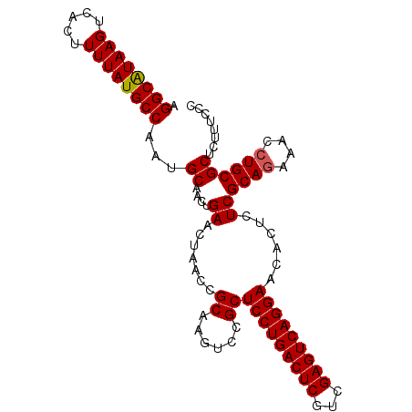 secondary structure