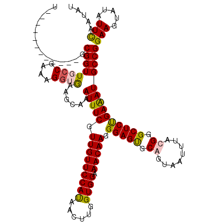 secondary structure