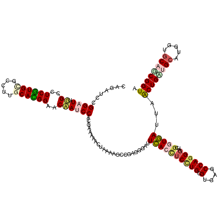 secondary structure