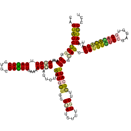 secondary structure