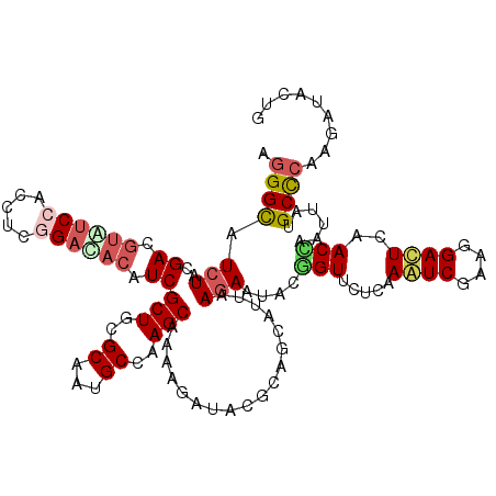 secondary structure