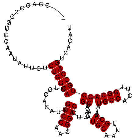 secondary structure