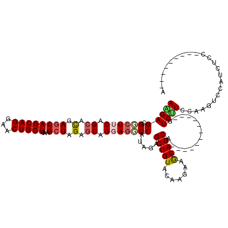 secondary structure