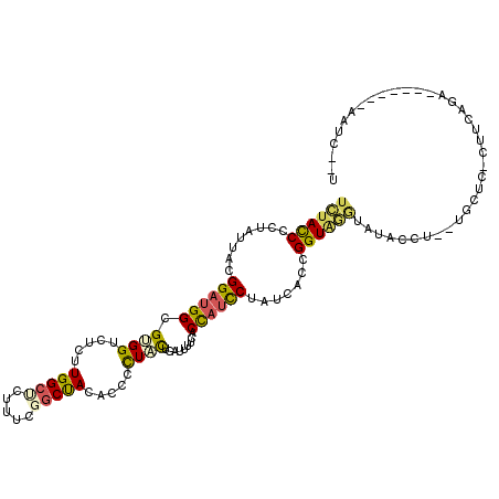 secondary structure
