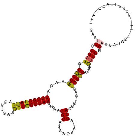 secondary structure