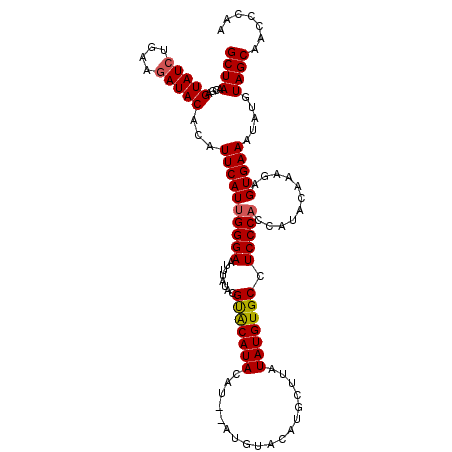 secondary structure
