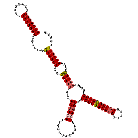 secondary structure