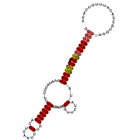 secondary structure