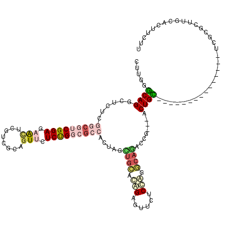 secondary structure