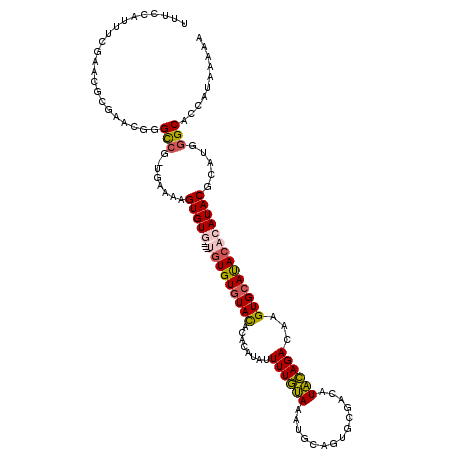 secondary structure