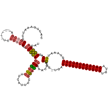 secondary structure
