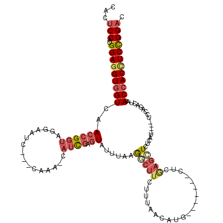 secondary structure