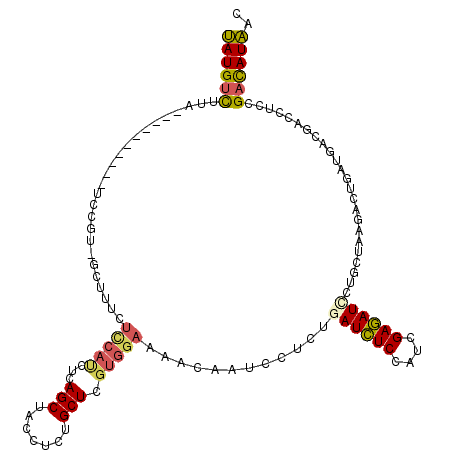 secondary structure