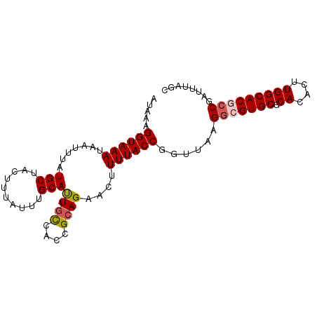 secondary structure