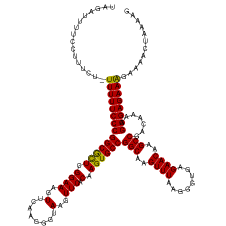 secondary structure