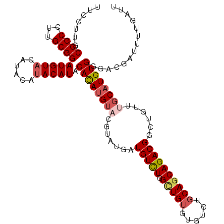 secondary structure
