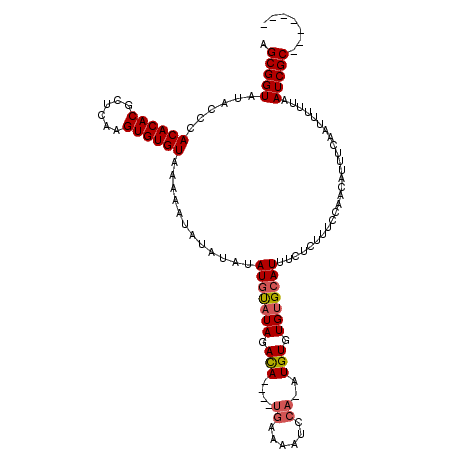 secondary structure