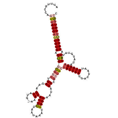 secondary structure