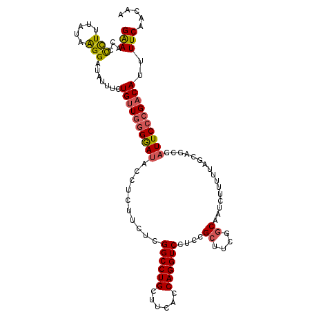 secondary structure