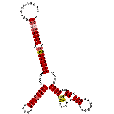 secondary structure