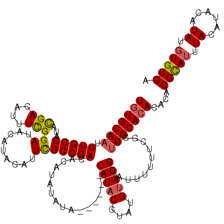 secondary structure