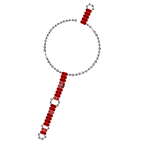 secondary structure