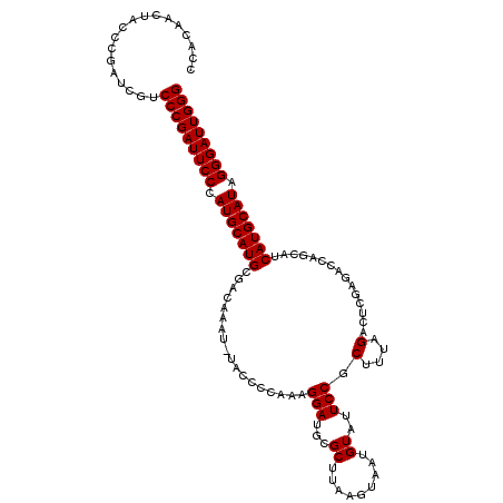 secondary structure