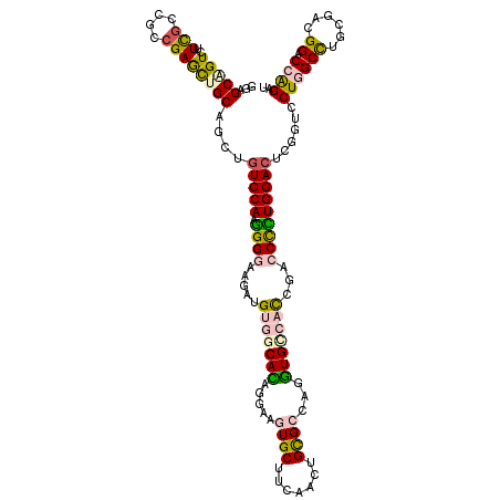 secondary structure