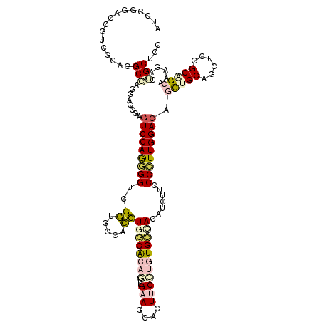 secondary structure