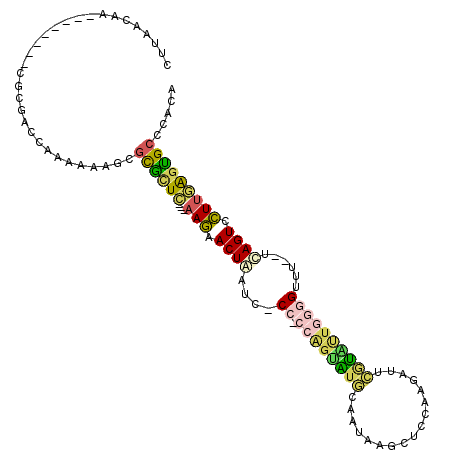 secondary structure