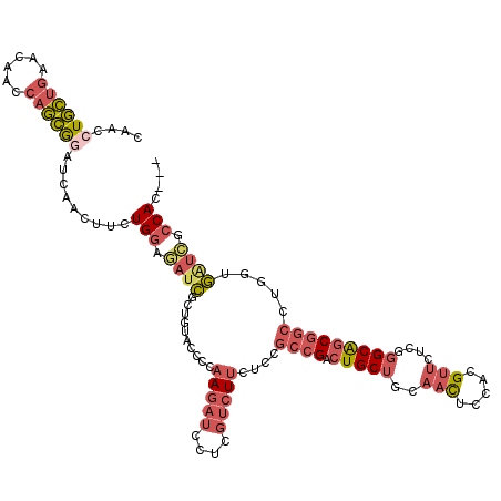 secondary structure