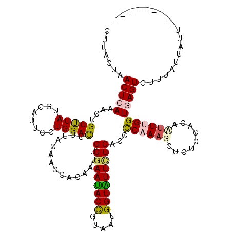 secondary structure