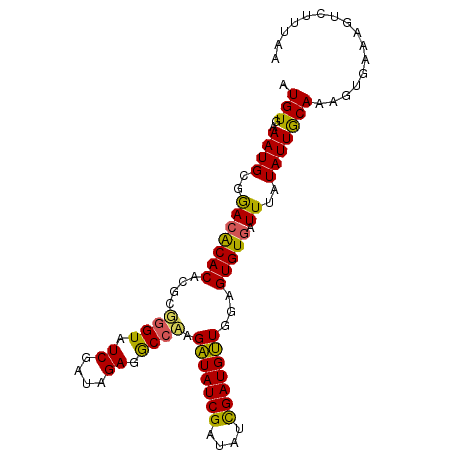 secondary structure