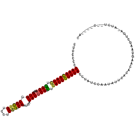 secondary structure