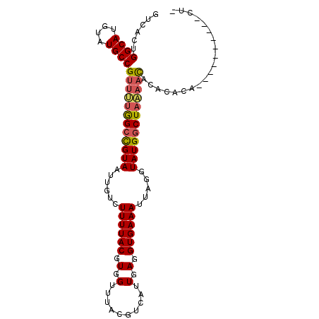 secondary structure