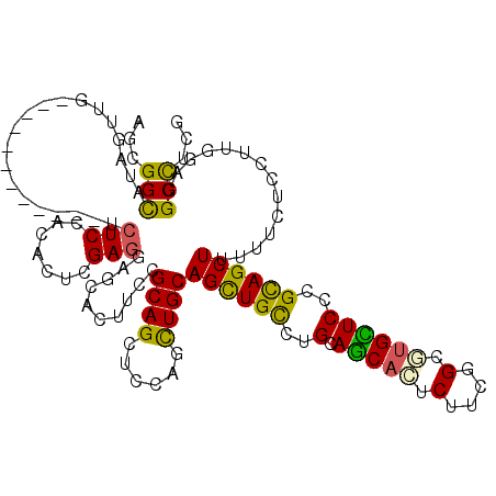 secondary structure