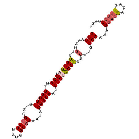secondary structure