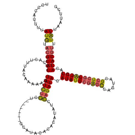 secondary structure