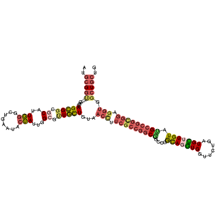 secondary structure