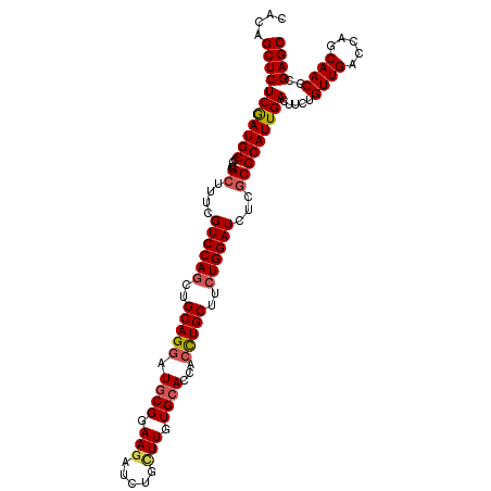 secondary structure