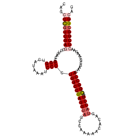 secondary structure