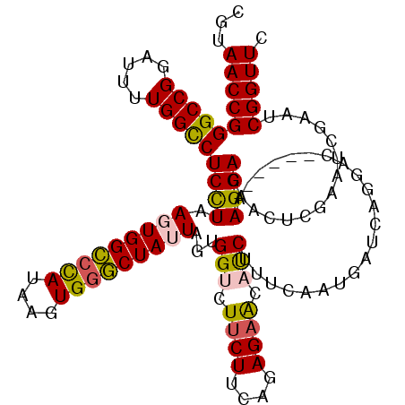 secondary structure