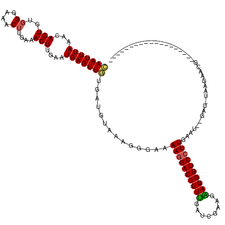 secondary structure