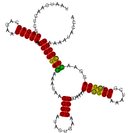 secondary structure