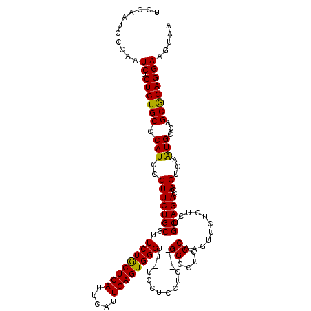secondary structure