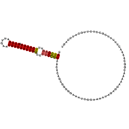 secondary structure
