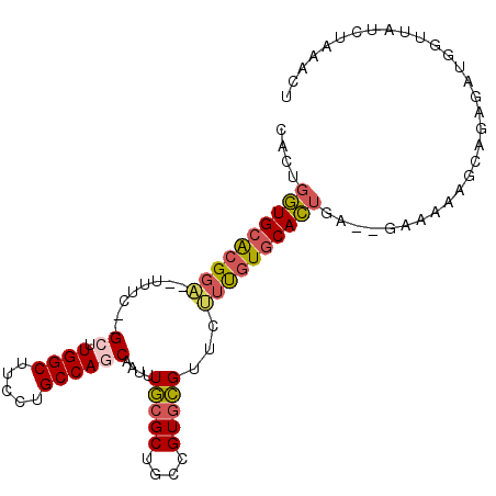 secondary structure